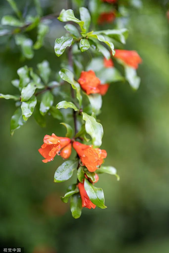 维多利亚老品牌vic(集团)官方网站