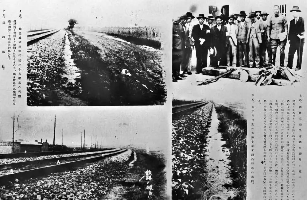 维多利亚老品牌vic(集团)官方网站