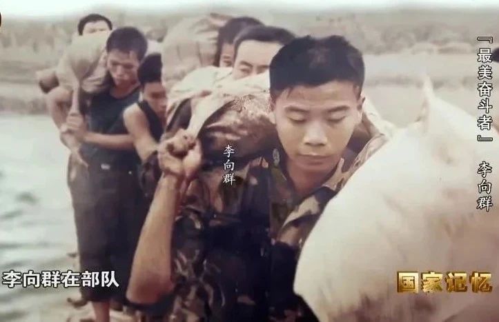 维多利亚老品牌vic(集团)官方网站