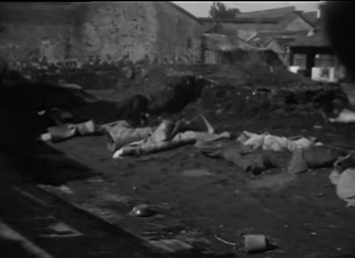 维多利亚老品牌vic(集团)官方网站