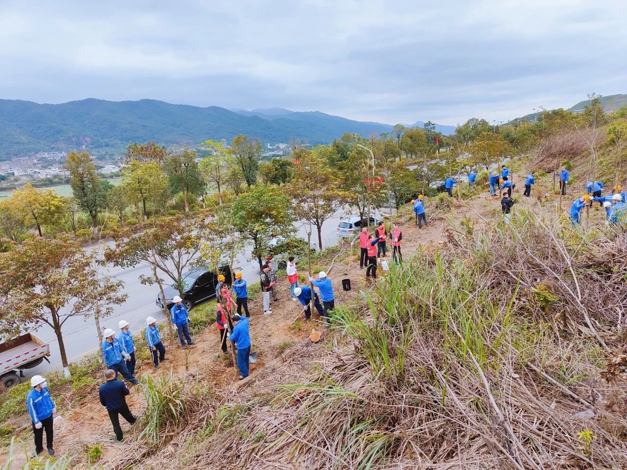 维多利亚老品牌vic(集团)官方网站