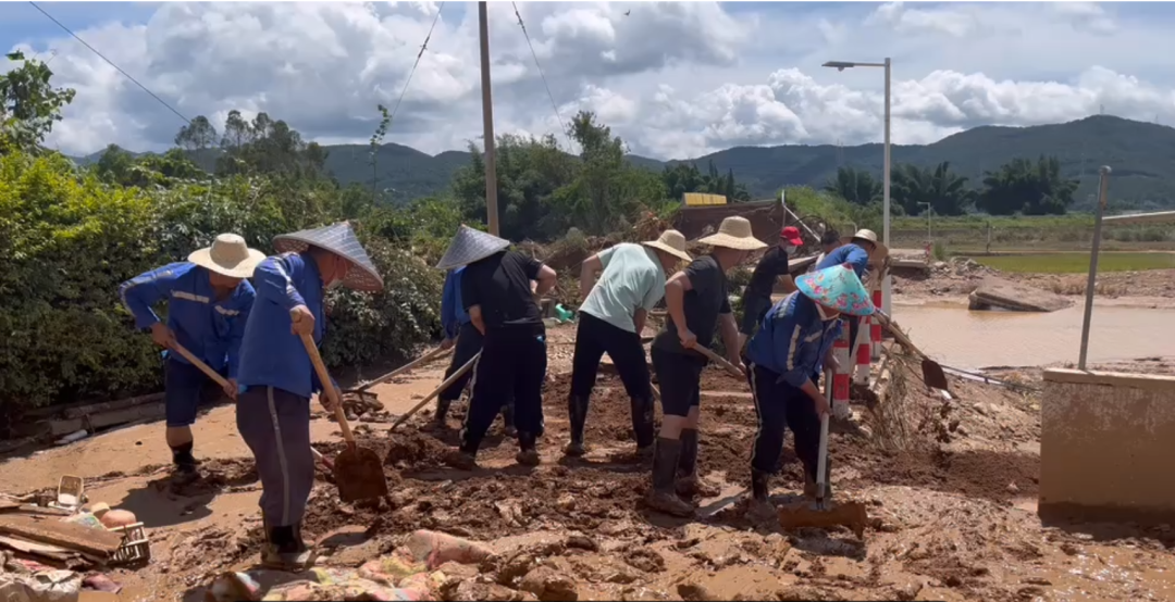 维多利亚老品牌vic(集团)官方网站