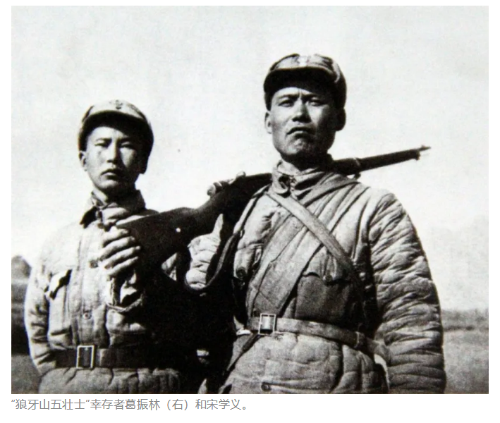 维多利亚老品牌vic(集团)官方网站