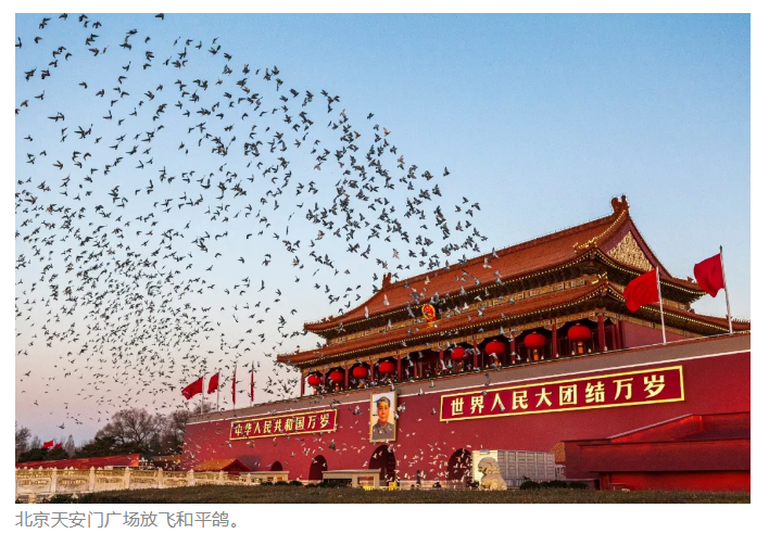 维多利亚老品牌vic(集团)官方网站