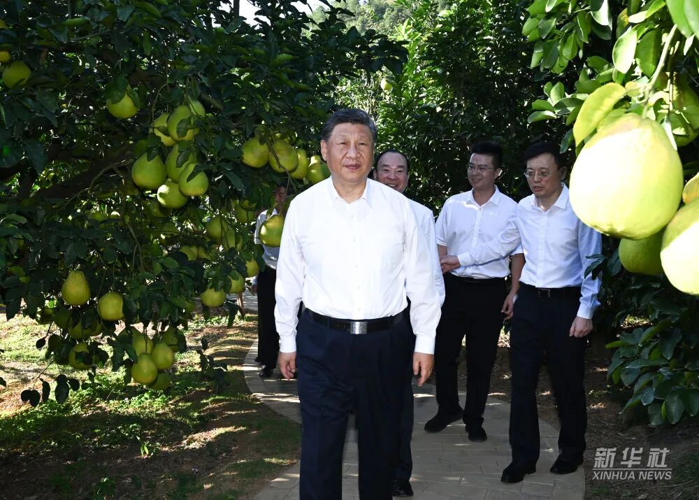 维多利亚老品牌vic(集团)官方网站