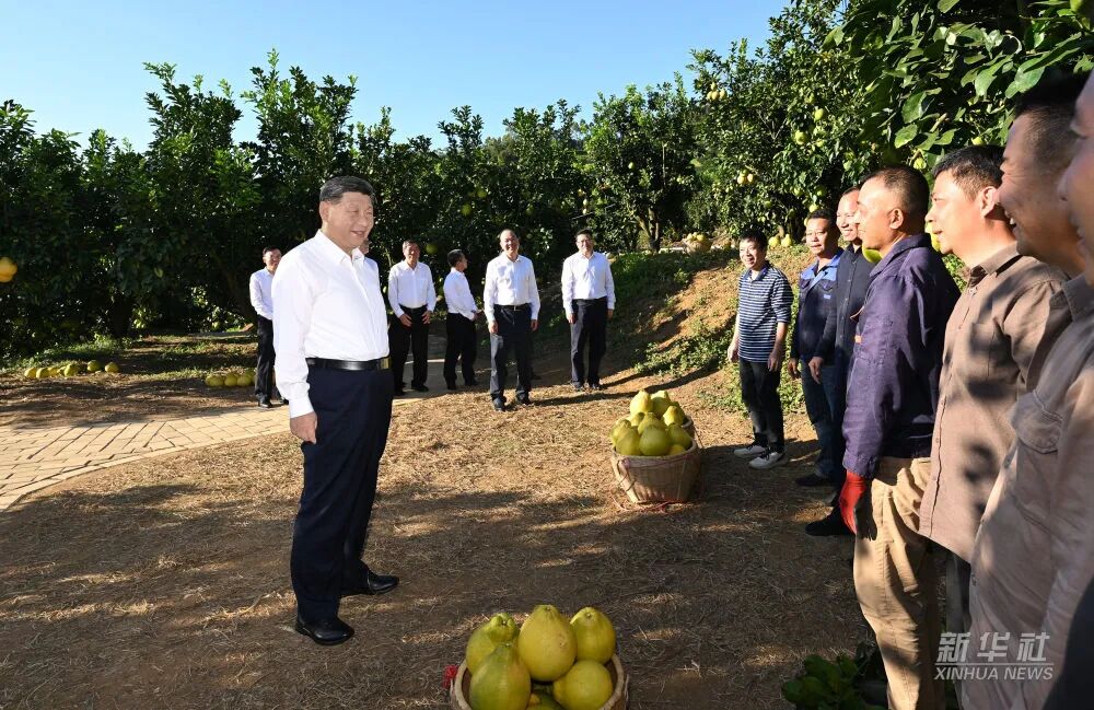 维多利亚老品牌vic(集团)官方网站